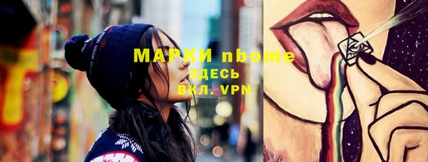 дживик Бородино