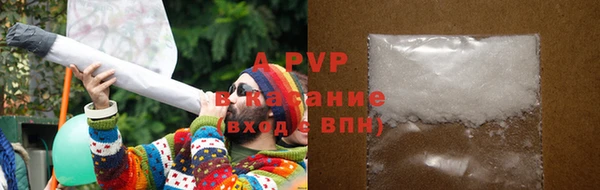 дживик Бородино