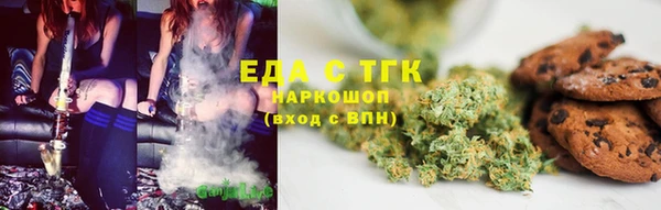 индика Бугульма