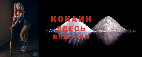 дмт Бронницы