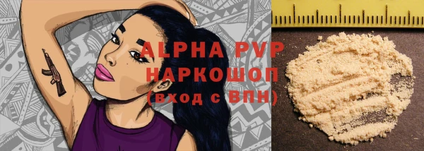 индика Бугульма