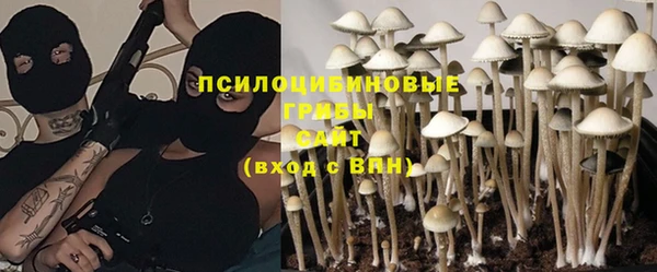 дживик Бородино