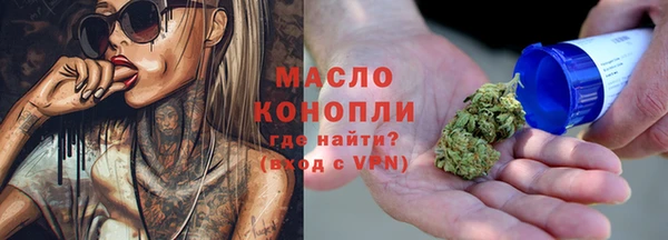 дживик Бородино