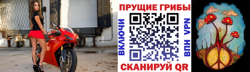 Псилоцибиновые грибы Psilocybine cubensis  hydra сайт  Дудинка 
